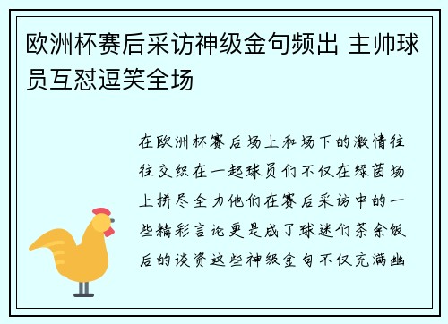 欧洲杯赛后采访神级金句频出 主帅球员互怼逗笑全场